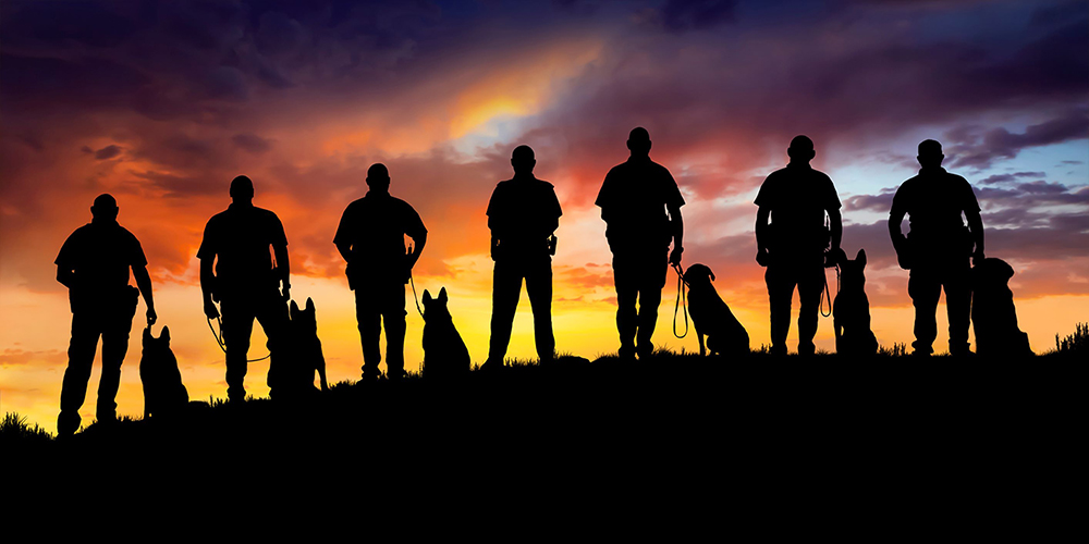 Band Of Brothers